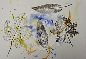 Imprints of leaves - Graphics - monoprint photo