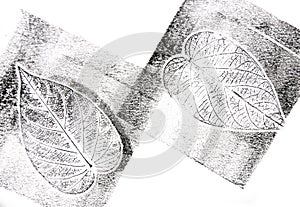 Imprints of leaves - Graphics - monoprint photo