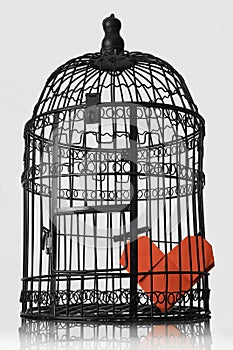 Imprisoned Heart