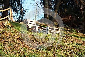 Impromptu chair. lying down in wood. Spartan craft creation made with plywood and advanced wood pieces in a downward clearing