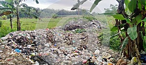 Improper waste disposal can damage the environment.