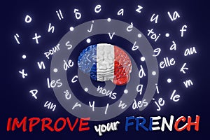 Improve your French Learning Foreign language fluency improvement Human brain glowing letters articles words 3d render