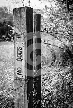 Improvised No Dogs sign seen on a timber fence post at a pasture.