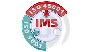 IMS. ISO integrated management system. The check mark in the form of a puzzle