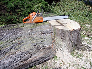 Inactive chainsaw