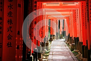 Inari torii gates - Kyoto - Japan
