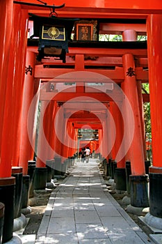 Inari torii gates - Kyoto - Japan