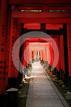 Inari torii gates - Kyoto - Japan