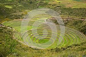 Inca agriculture field