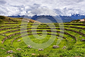 Inca circular terraces in Moray, in the Sacred Valley, Peru.