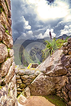 Inca city Machu Picchu (Peru)