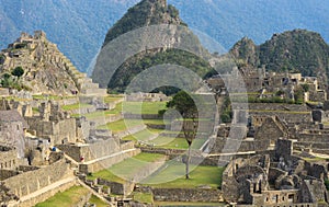 Inca sacred city of Machu Picchu Peru