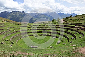 Inca terraces of Moray. Each level has its own microclimate. Moray is an archaeological site near the Sacred Valley