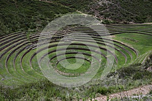 Inca terraces of Moray. Each level has its own microclimate. Moray is an archaeological site near the Sacred Valley