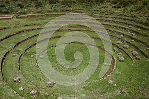 Inca terraces of Moray. Each level has its own microclimate. Moray is an archaeological site near the Sacred Valley