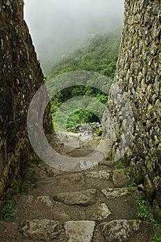 Inca trail