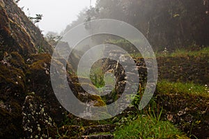 Inca Trail trekking path with fog.