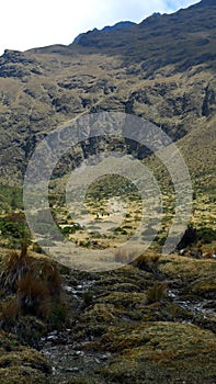 Inca Trail, on the way to Machu Picchu