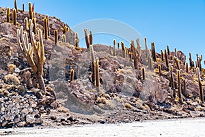 Incahuasi Island