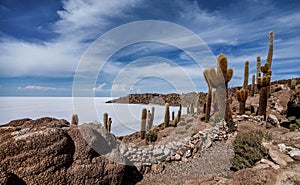 Incahuasi island Cactus Island lokated at Salar de Uyuni the