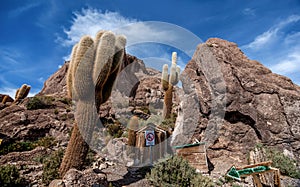 Incahuasi island Cactus Island lokated at Salar de Uyuni the