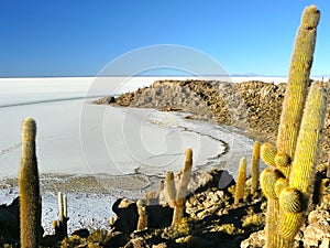 Incahuasi Island. Salar de Uyuni. Bolivia.