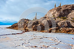 Incahuasi island in Salar de Uyuni. Bolivia