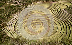 Incan agricultural ruins, Peru