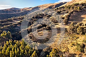 Incan terraces at Bosque Dorado near Huancayo, Peru photo