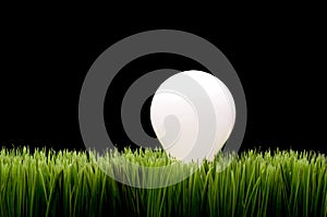 Incandescent bulb on green grass photo