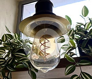 incandescent fluorescent light bulb