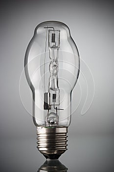 Incandescent light bulb photo