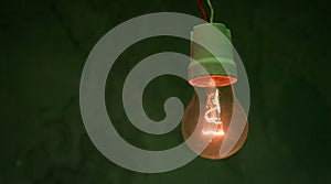 Incandescent light bulb