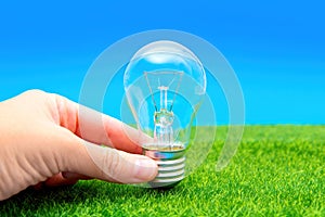 Incandescent light bulb on grass