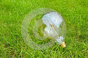 An incandescent light bulb in the green grass. Energy saving concept. A close-up. An idea