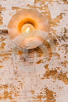 Incandescent light bulb on old wall