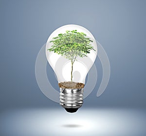 Incandescent light bulb with plant
