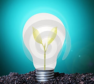 Incandescent light bulb with plant