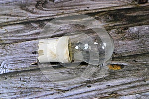 incandescent light globe bulb lamp, an electric light with a wire filament tungsten that is heated until it glows, consists of gas