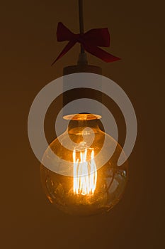 Incandescent tungsten electric light bulb
