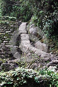 Incas steps