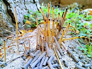 Incense sticks after combustion
