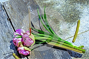 Incense sticks placed on lotus for ordained ceremony