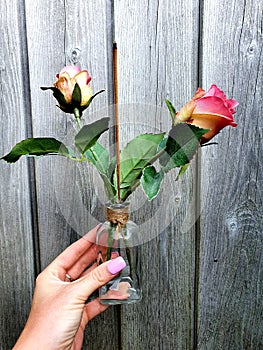 Incense with two Roses in Glass wit Rope