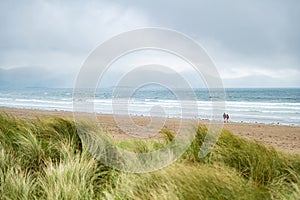 Inch beach, wonderful 5km long stretch of sand and dunes, popular for surfing, swimming and fishing, located on the Dingle