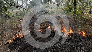 an incident of land burning