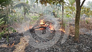 an incident of land burning