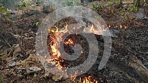 an incident of land burning