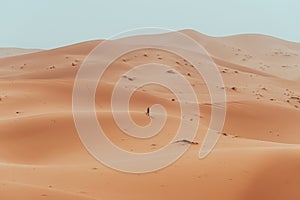 Incidental local berber man wandering through Sahara Desert Merzouga, Morocco