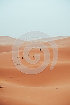 Incidental local berber man wandering through Sahara Desert Merzouga, Morocco